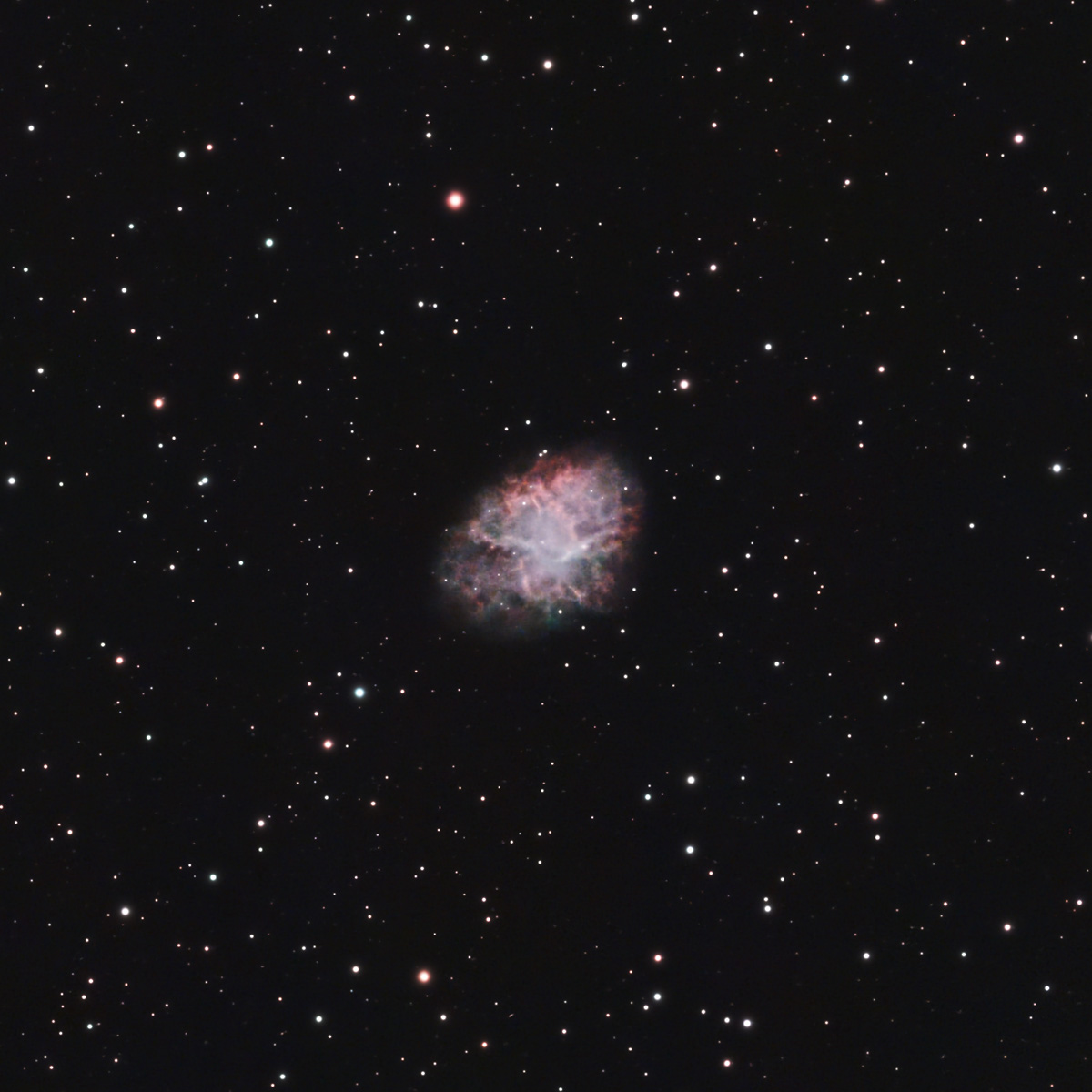 M1