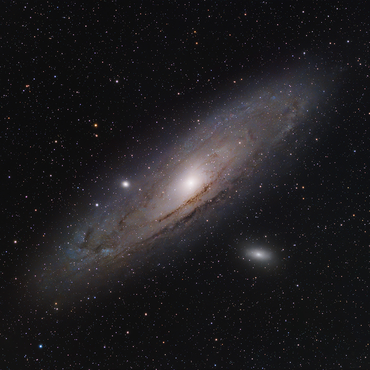 M31