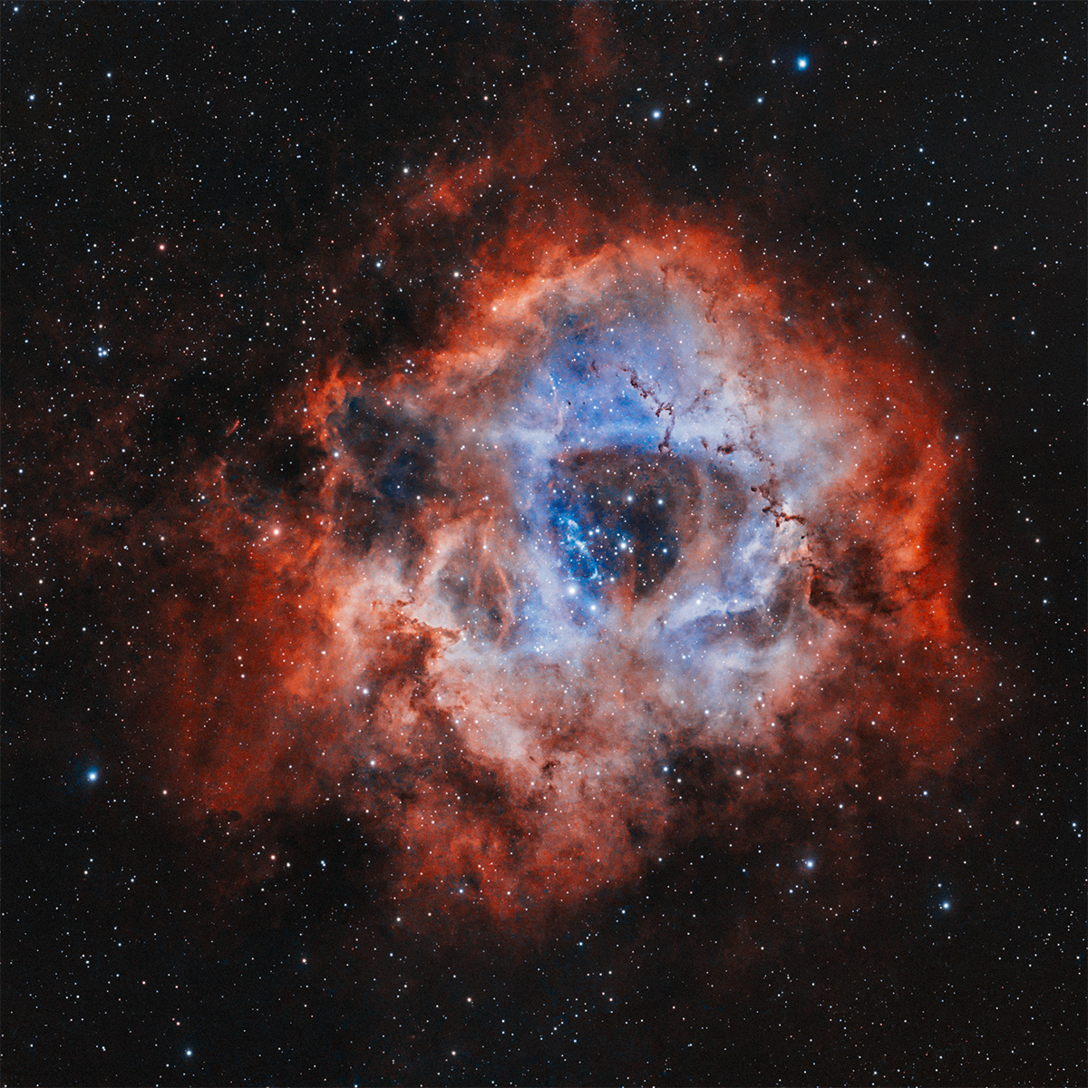 NGC2237