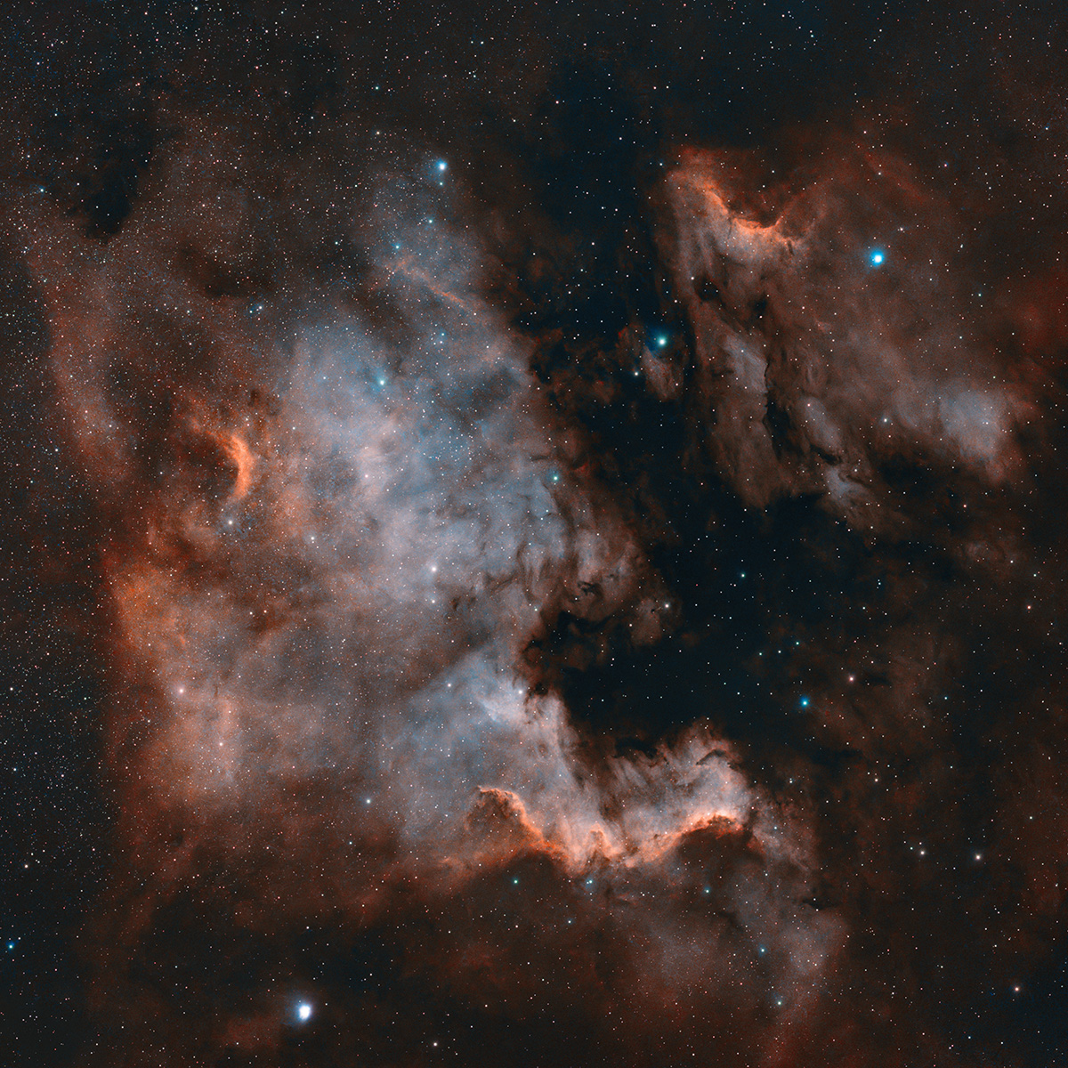 North America & Pelican Nebula